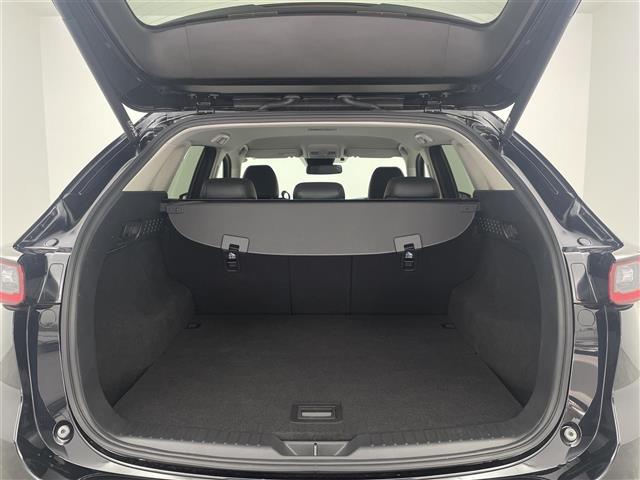 ＣＸ－５ ２０Ｓ　ブラックセレクション　ワンオーナ　ＢＯＳＥ　純正ナビ　ａｐｐｌｅ　ｃａｒ　ｐｌａｙ　全方位カメラ　運転席パワーシート　ステアリングヒーター　パワーバックドア　レーダークルーズコントロール　ハーフレザーシート（33枚目）