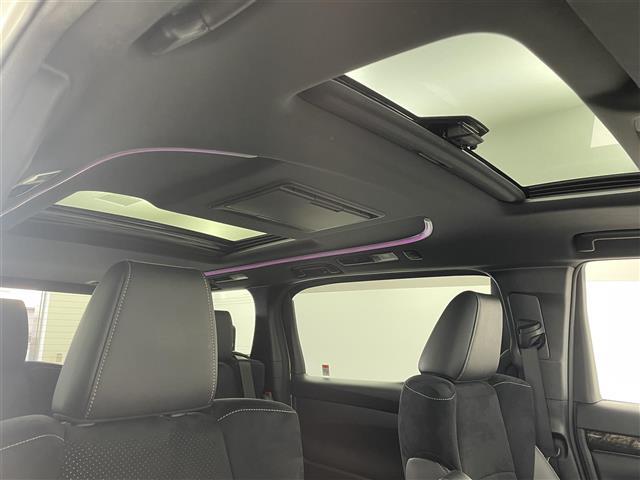 アルファード 2.5S タイプゴールドIII 純正ナビ ツインムーンルーフ フリップダウンモニター Bluetooth フルセグ CD DVD デジタルインナーミラー ビルトインETC ハーフレザーシート レーダークルーズコントロール Bカメラ(14枚目)