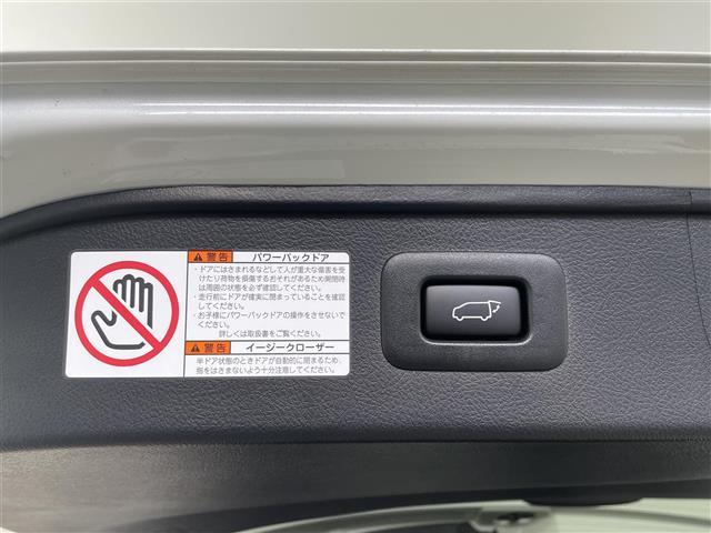 アルファード 2.5S タイプゴールドIII 純正ナビ ツインムーンルーフ フリップダウンモニター Bluetooth フルセグ CD DVD デジタルインナーミラー ビルトインETC ハーフレザーシート レーダークルーズコントロール Bカメラ(19枚目)