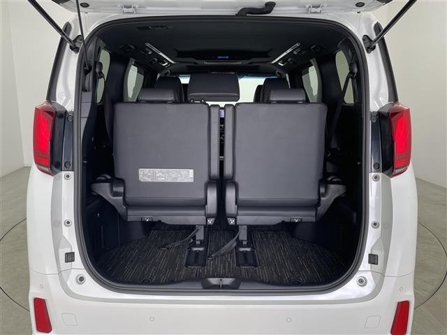 アルファード 2.5S タイプゴールドIII 純正ナビ ツインムーンルーフ フリップダウンモニター Bluetooth フルセグ CD DVD デジタルインナーミラー ビルトインETC ハーフレザーシート レーダークルーズコントロール Bカメラ(33枚目)