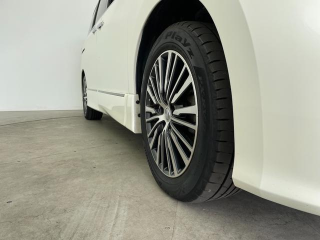 エルグランド ２５０ハイウェイスターＳ　純正ＨＤＤナビ　純正フリップダウンモニター　両後パワースライドドア　ハーフレザーシート　インテリジェントキー　クルーズコントロール　バックドアイージークローザー　コーナーセンサー　ビルトインＥＴＣ（44枚目）