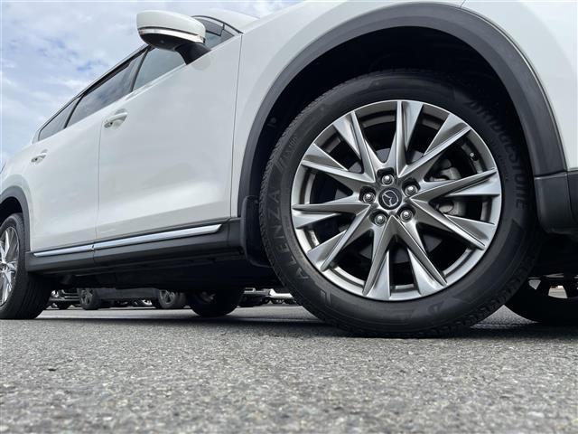 ���ŐV�i�r�i�t���Z�O�E�����Z�O�E�c�u�c�Đ��j�����ē��B�J���b�c�F���A�E�A���p�C���E�C�N���v�X�̃i�r���戵���Ă���o�b�N�J�����i�o�b�N���j�^�[�j��ȃ��j�^�[�i�t���b�v�_�E�����j�^�[�j�̎�t���\�ł��B