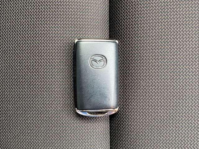 ＭＡＺＤＡ３セダン ２０Ｓプロアクティブ　ツーリングセレクション（29枚目）