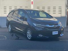 ȥ ϥ֥åɣء꡼ʥӡ£衡󥻥ԣ֡ӥȥţԣ 0520308A20251026J004 2