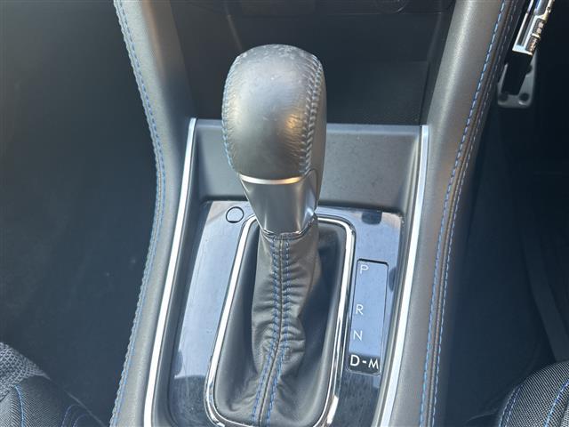 レヴォーグ 1.6GT-Sアイサイト 社外メモリーナビ(CD/DVD/DTV/Bluetooth/USB)/バックカメラ/前席シートヒーター/パワーシート/ETC/パドルシフト/EyeSight.Ver3/オートライト/プッシュスタート(28枚目)