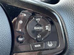 �Ρݣ£ϣإ������� �ǡ��̥ۥ�����󥷥󥰡������ʥӡ��Хå�����顡�ե륻���ƥ�� 0520321A20251220J002 5