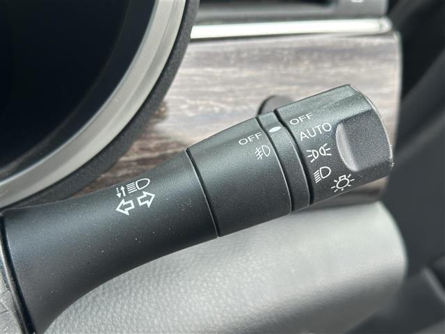 エルグランド 250ハイウェイスターアーバンクロム 社外ナビ Bカメラ ETC Wパワスラ ドラレコ(23枚目)