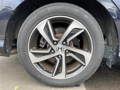 ǥå ֥롼ȡѥ饤ɥɥӣĥʥӡե륻£ 0520324A20251204J001 6