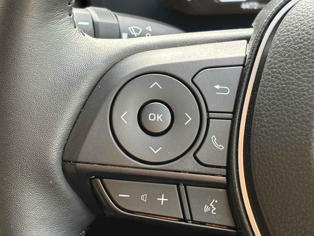 RAV4 アドベンチャー 純正10型ディスプレイオーディオ/パノラマルーフ/パノラミックビューモニター/TRDエアロ/デジタルインナーミラー/ルーフレール/パワーバックドア/トヨタセーフティセンス/ワンオーナー/寒冷地仕様(9枚目)