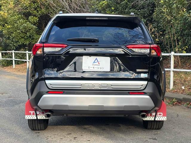 RAV4 アドベンチャー 純正10型ディスプレイオーディオ/パノラマルーフ/パノラミックビューモニター/TRDエアロ/デジタルインナーミラー/ルーフレール/パワーバックドア/トヨタセーフティセンス/ワンオーナー/寒冷地仕様(16枚目)
