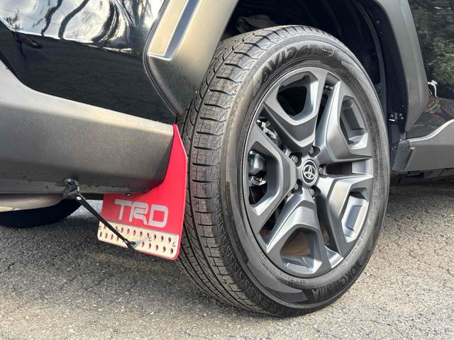 RAV4 アドベンチャー 純正10型ディスプレイオーディオ/パノラマルーフ/パノラミックビューモニター/TRDエアロ/デジタルインナーミラー/ルーフレール/パワーバックドア/トヨタセーフティセンス/ワンオーナー/寒冷地仕様(20枚目)