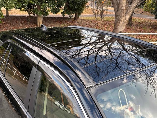 RAV4 アドベンチャー 純正10型ディスプレイオーディオ/パノラマルーフ/パノラミックビューモニター/TRDエアロ/デジタルインナーミラー/ルーフレール/パワーバックドア/トヨタセーフティセンス/ワンオーナー/寒冷地仕様(24枚目)