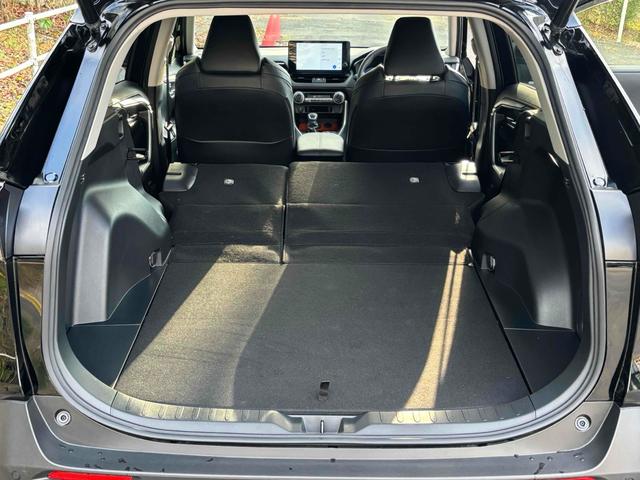 RAV4 アドベンチャー 純正10型ディスプレイオーディオ/パノラマルーフ/パノラミックビューモニター/TRDエアロ/デジタルインナーミラー/ルーフレール/パワーバックドア/トヨタセーフティセンス/ワンオーナー/寒冷地仕様(48枚目)