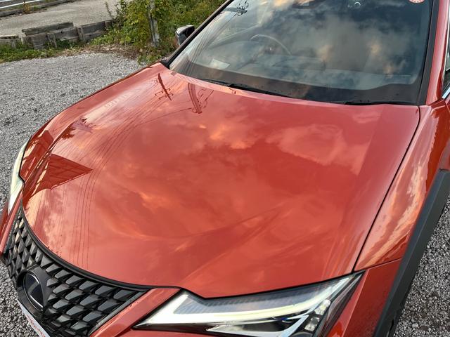 是非一度、実車を御覧ください。