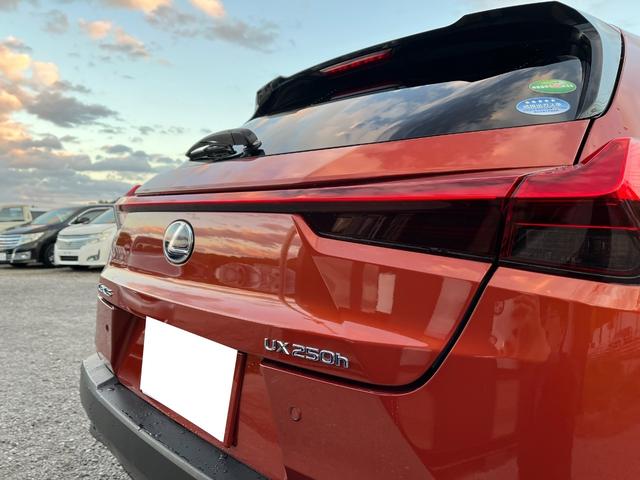 ご覧いただきありがとうございます♪気になったお車がありましたらお気軽にお電話をください♪