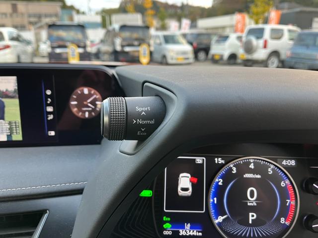 是非一度、実車を御覧ください。