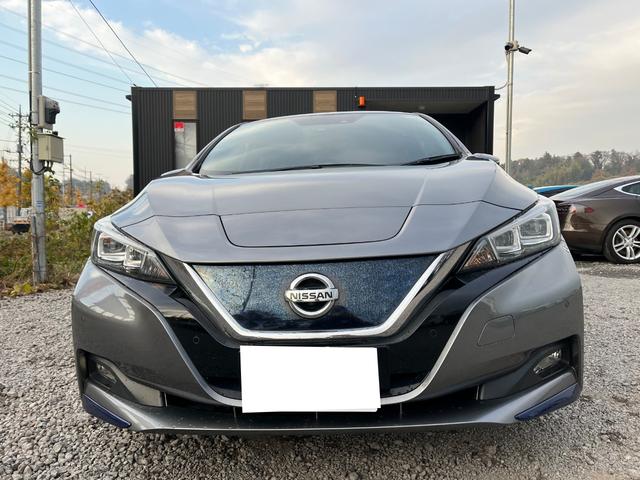 リーフ G プロパイロットBT接続ナビ全方位カメラ充電ケーブル付 ETC TV クリアランスソナー オートクルーズコントロール 自動駐車システム 衝突被害軽減システム アルミホイール LEDヘッドランプ(12枚目)
