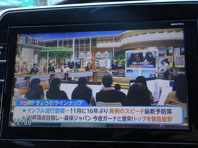 セレナ Ｘ　車検９年３月　４ＷＤ　エマージェンシーブレーキ　ナビ　ＴＶ　ＤＶＤ再生機能　Ｂｌｕｅｔｏｏｔｈ　アラウンドビューモニター　両側パワスラ　インテリキー　クルコン　ＬＥＤライト　ＥＴＣ　電動オートステップ（23枚目）