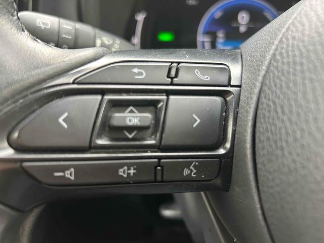 シエンタ ハイブリッドZ 全周囲カメラ ナビ TV オートクルーズコントロール レーンアシスト パークアシスト 衝突被害軽減システム 両側電動スライドドア オートマチックハイビーム オートライト LEDヘッドランプ BSM(47枚目)