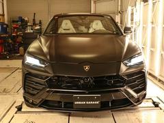 ���륹 �����������ף� 0520454A30251224W009 2