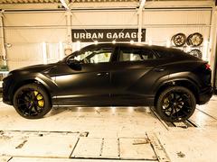 ���륹 �����������ף� 0520454A30251224W009 4