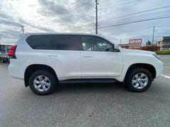 ɥ롼ץ ԣءʥӡ롼ա;衡ե륻ԣ 0520460A30251106W002 2