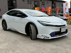 �ץꥦ�� �ڡ���ǥꥹ���ե륨�����������������������̥ǥ����ץ쥤���Υ�ߥå��ӥ塼��˥����������ȥҡ����� 0520463A30251211W002 6