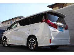 ե ӡåѥåʡȥ西եƥ󥹡졼롼 0520479A30251113W001 7