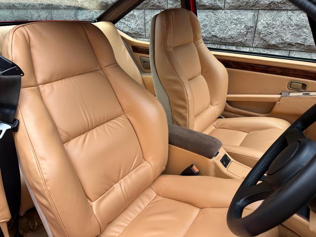 日本 オーテックザガートステルビオ(12枚目)