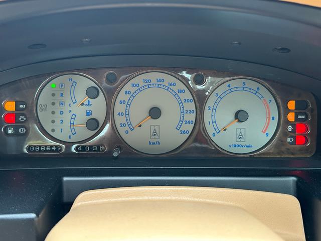 日本 オーテックザガートステルビオ(17枚目)