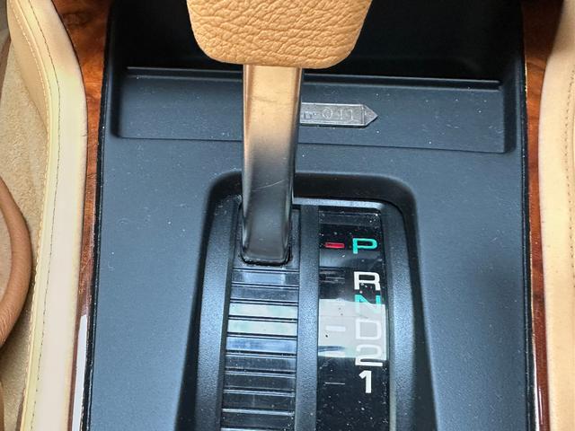 日本 オーテックザガートステルビオ(19枚目)