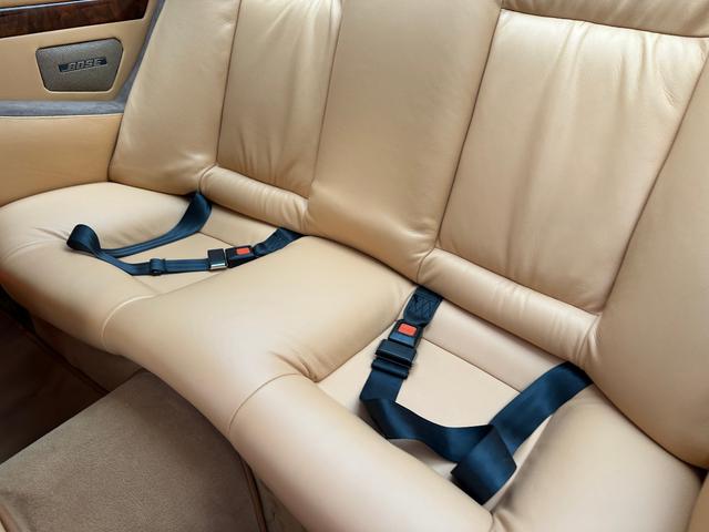 日本 オーテックザガートステルビオ(20枚目)