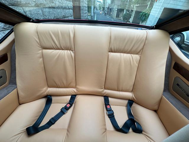 日本 オーテックザガートステルビオ(21枚目)