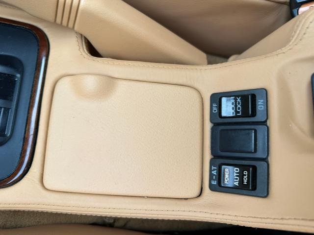 日本 オーテックザガートステルビオ(22枚目)