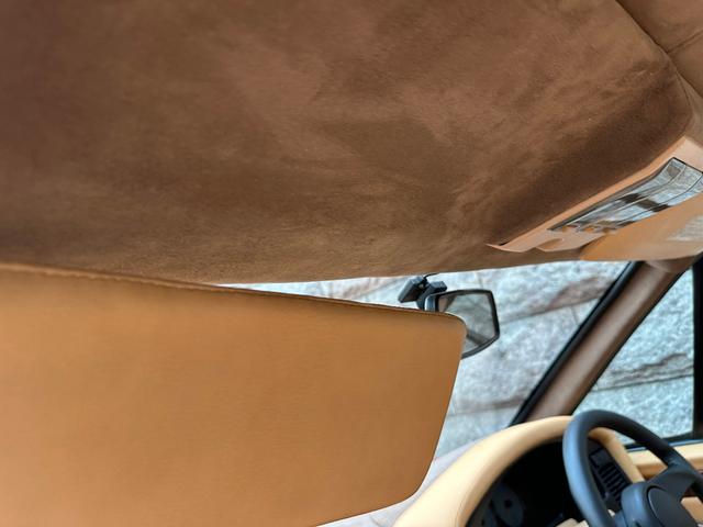 日本 オーテックザガートステルビオ(25枚目)