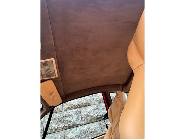 日本 オーテックザガートステルビオ(26枚目)