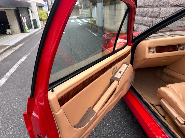 日本 オーテックザガートステルビオ(27枚目)