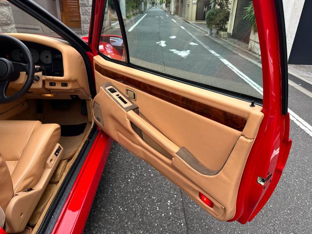 日本 オーテックザガートステルビオ(28枚目)