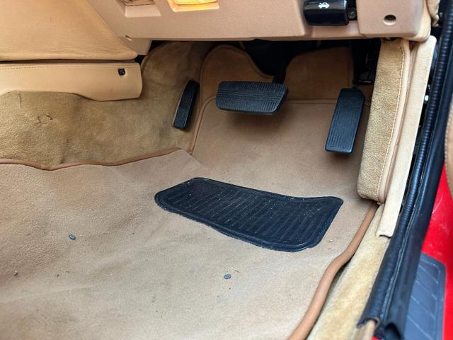 日本 オーテックザガートステルビオ(31枚目)