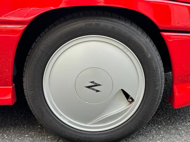 日本 オーテックザガートステルビオ(32枚目)