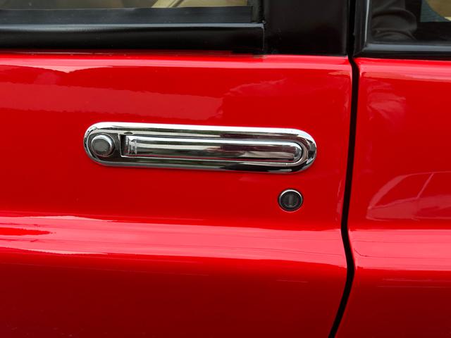 日本 オーテックザガートステルビオ(35枚目)