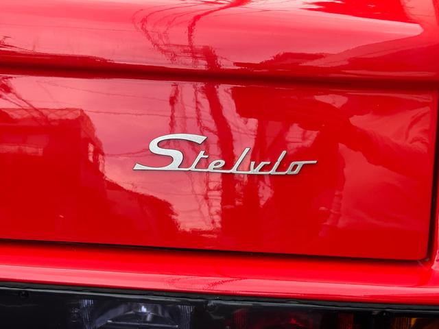 日本 オーテックザガートステルビオ(36枚目)