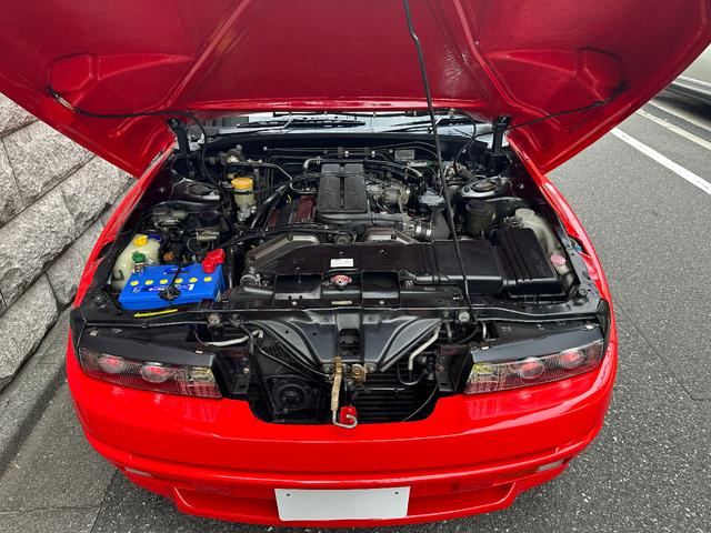 日本 オーテックザガートステルビオ(41枚目)