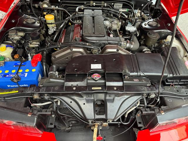 日本 オーテックザガートステルビオ(42枚目)