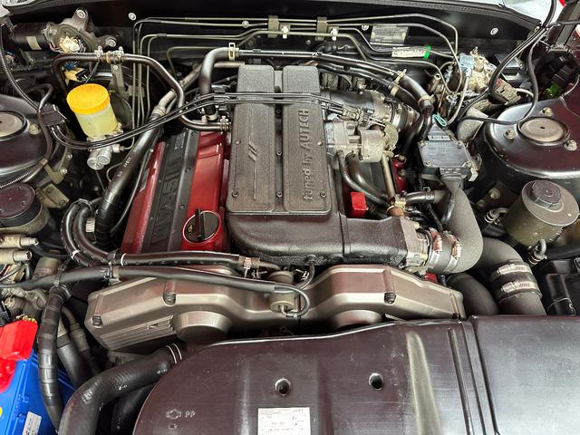 日本 オーテックザガートステルビオ(43枚目)