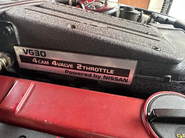 日本 オーテックザガートステルビオ(45枚目)