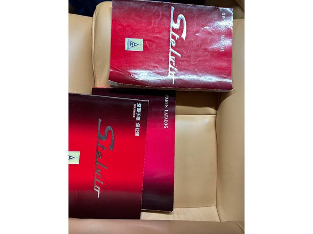 日本 オーテックザガートステルビオ(49枚目)