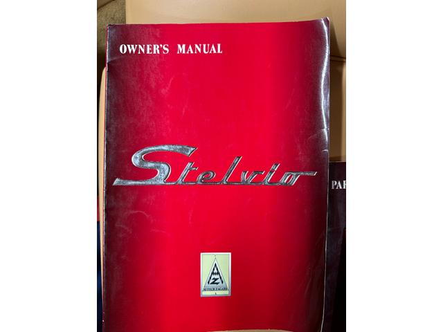 日本 オーテックザガートステルビオ(50枚目)