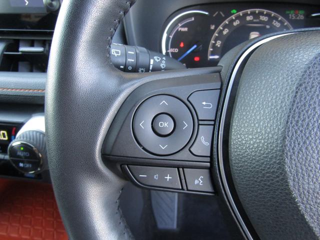 ＲＡＶ４ ハイブリッドアドベンチャー　純正ナビゲーション　デジタルインナーミラー　ブルートゥース　パノラミックビュー　パワーバックドア　ＥＴＣ　トヨタセーフティセンス（32枚目）