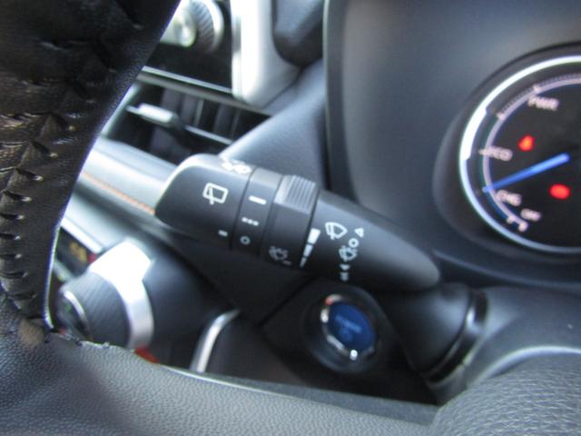 ＲＡＶ４ ハイブリッドアドベンチャー　純正ナビゲーション　デジタルインナーミラー　ブルートゥース　パノラミックビュー　パワーバックドア　ＥＴＣ　トヨタセーフティセンス（33枚目）